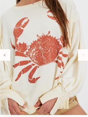 NWOT We The Free Graphic Camden Pullover Size S